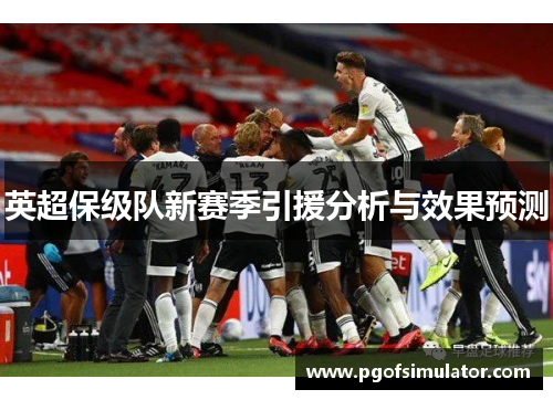 英超保级队新赛季引援分析与效果预测 英超保级队新赛季引援分析与效果预测