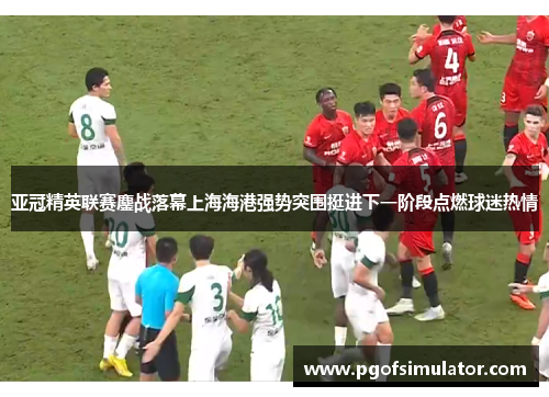 亚冠精英联赛鏖战落幕上海海港强势突围挺进下一阶段点燃球迷热情 亚冠精英联赛鏖战落幕上海海港强势突围挺进下一阶段点燃球迷热情