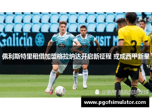 佩利斯特里租借加盟格拉纳达开启新征程 或成西甲新星